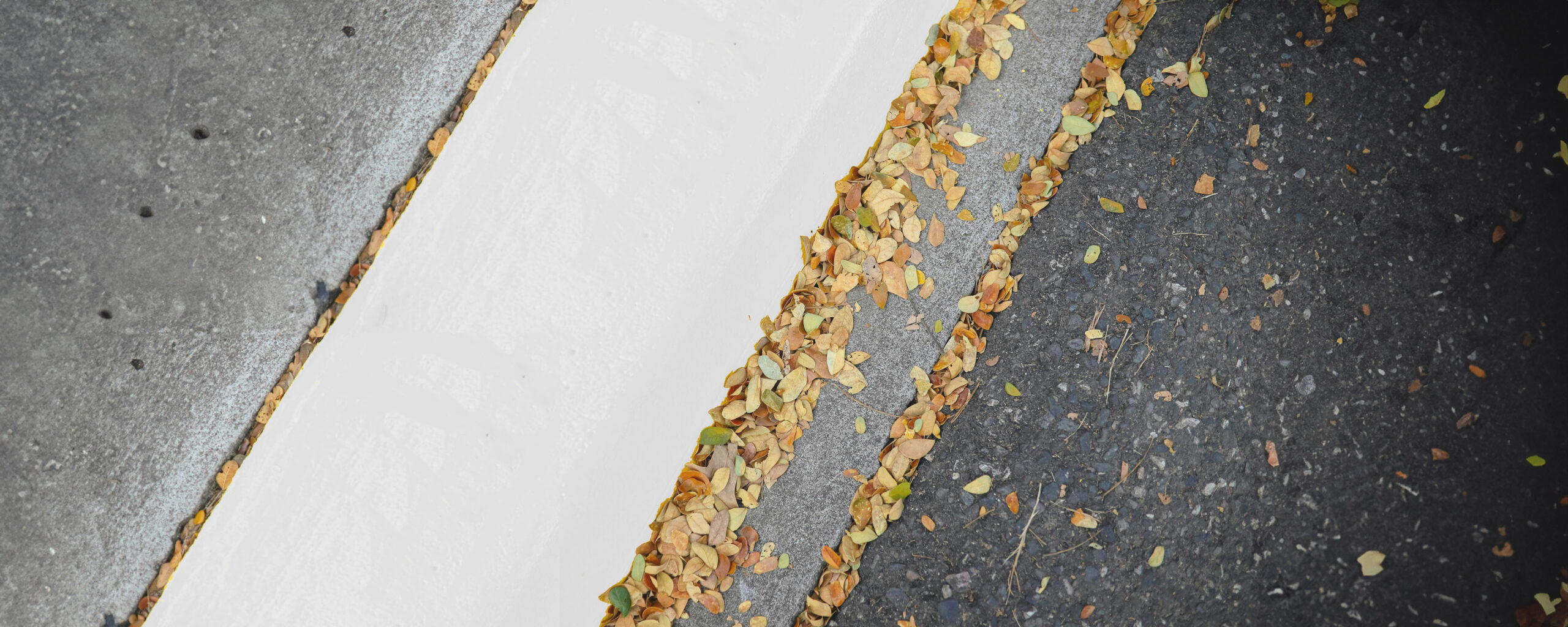 White Curbs: The Late-Night Parking Secret That’s Too Good to Miss!